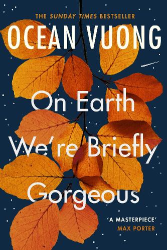 On Earth We're Briefly Gorgeous (Paperback)