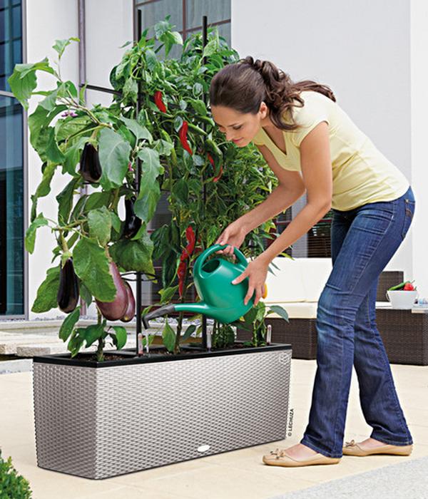 LECHUZA® Polyrattan-Kasten Trio Cottage,