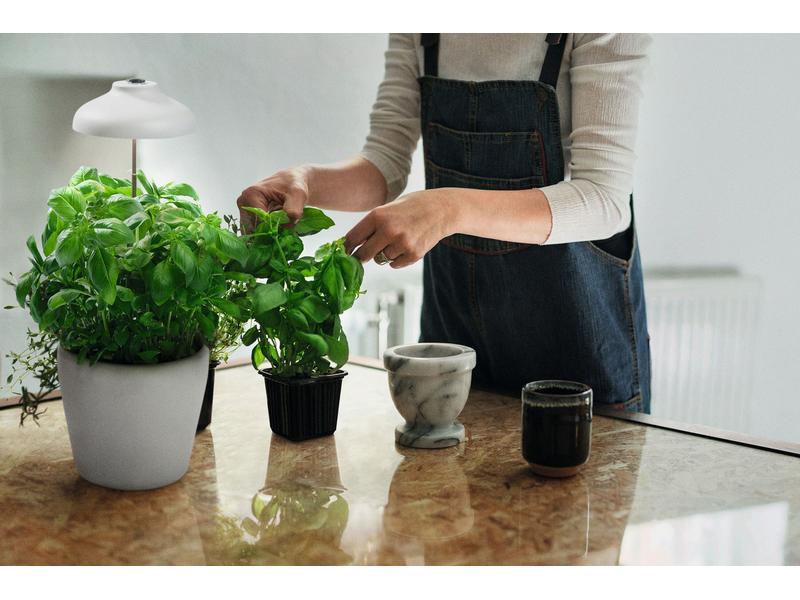 Ledvance Pflanzenleuchte Indoor Garden Umbrella 200 USB WT, Tragbares LED Pflanzenlicht USB betrieben