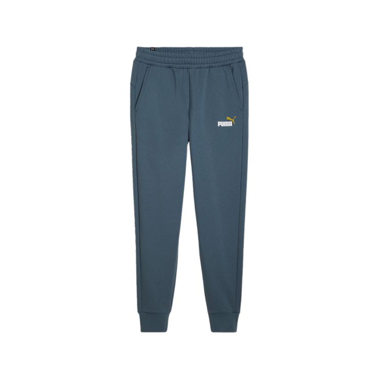 PumaESS+ 2 Col Logo Pants FL - grau