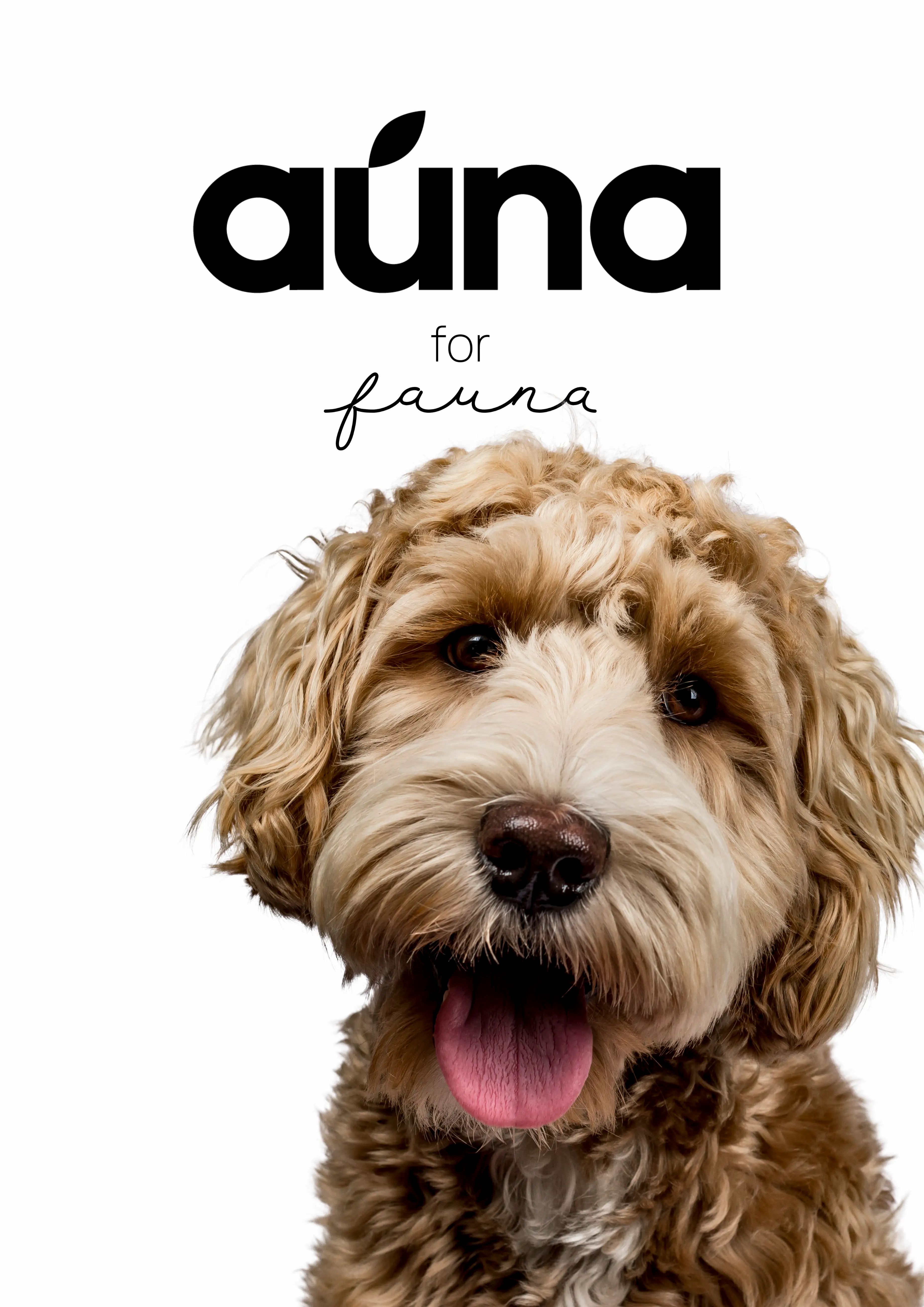 Auna Vegan Natürliche Schutzsalbe für Hunde