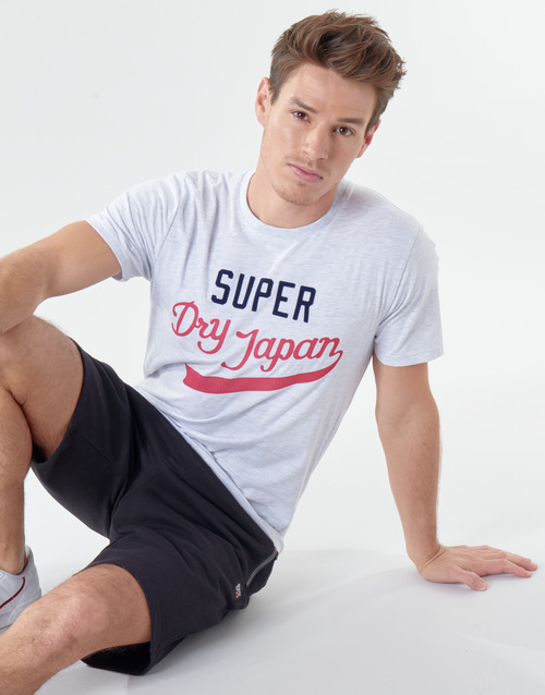 Superdry - COLLEGIATE GRAPHIC TEE 185 - Gris