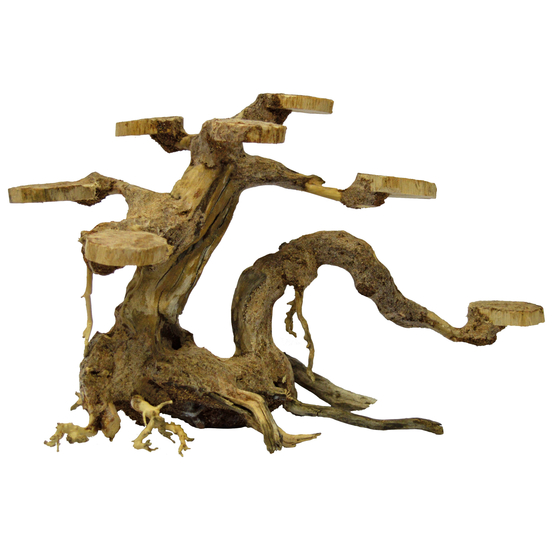 Décor aquarium Racine bonsaï Planter S