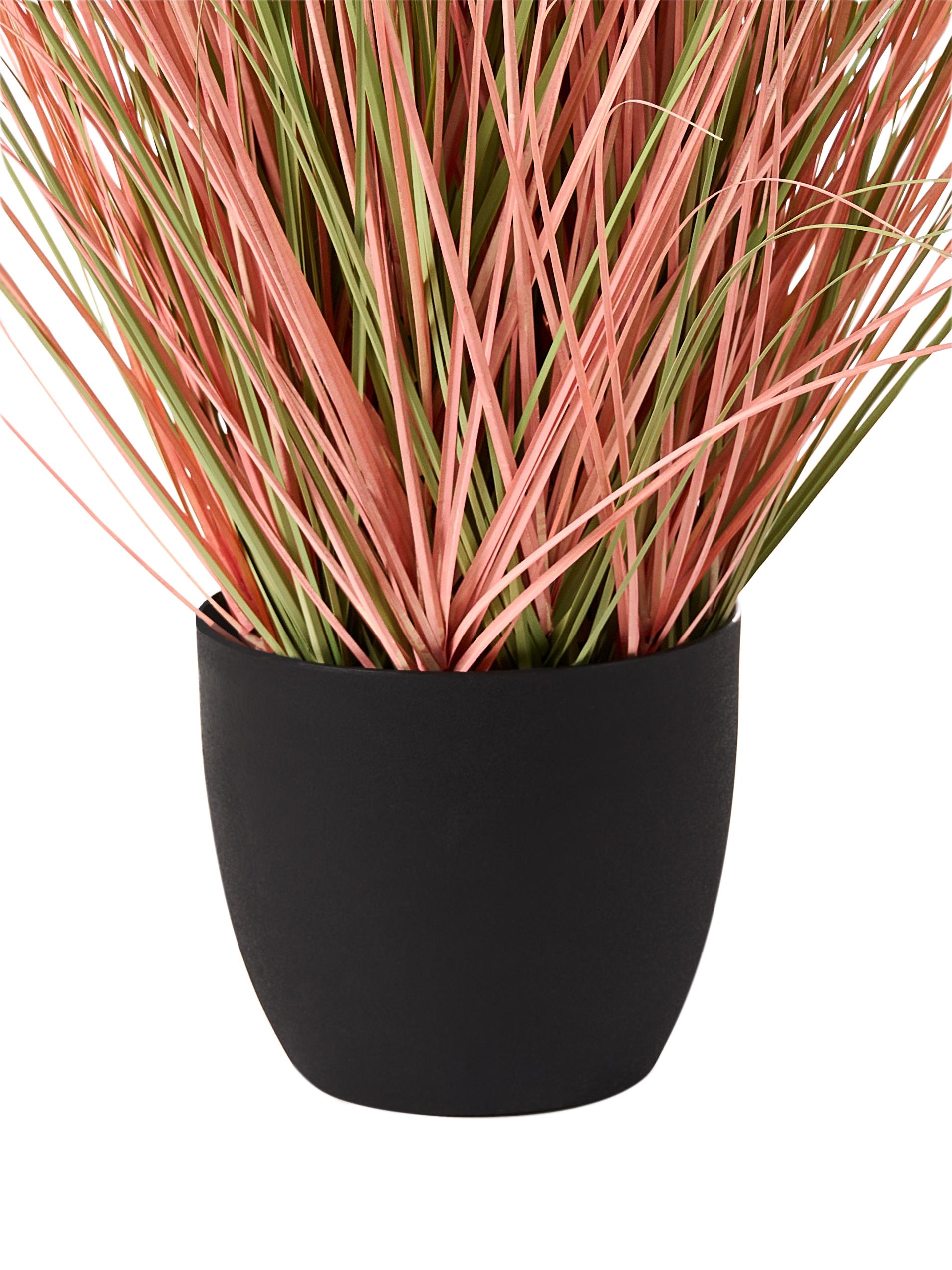 Kunstplant BRISTLEGRASS 120 cm Oranje