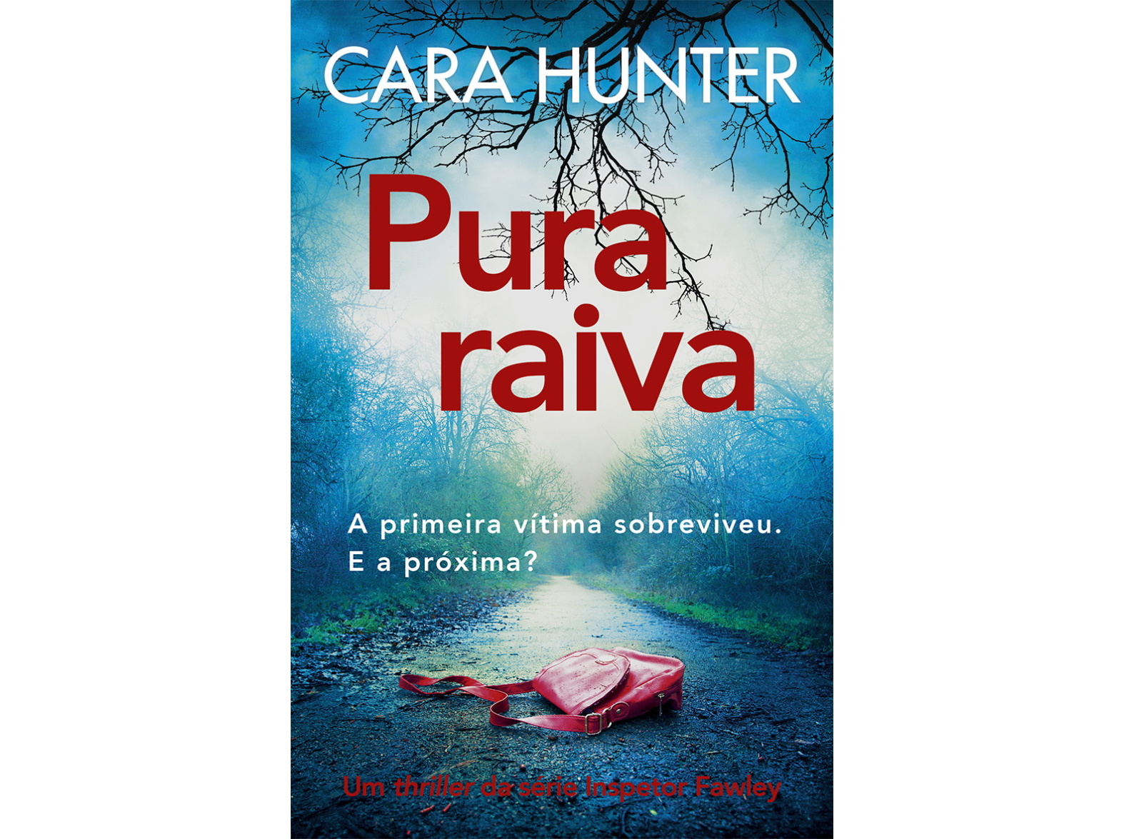 LIVRO PURA RAIVA DE CARA HUNTER