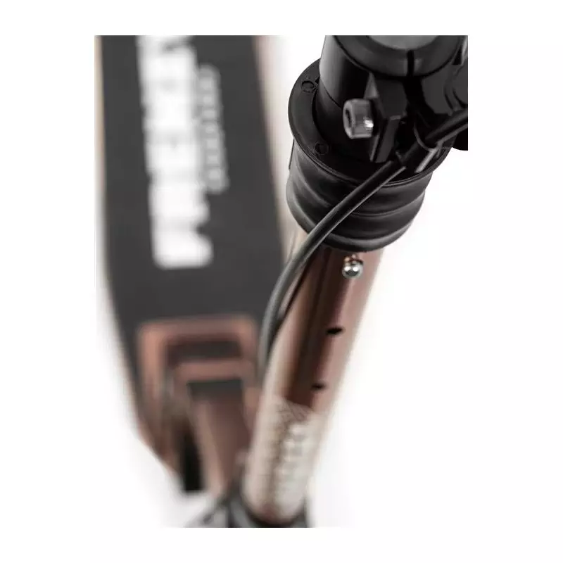 Trottinette de déplacement FRENZY 205mm Dual Brake V4 Bronze