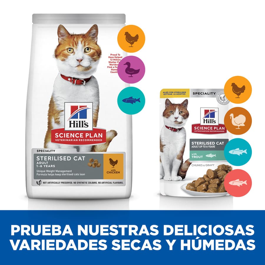 Sachê esterilizado de truta jovem adulta em molho para gatos da Hill's Science Plan