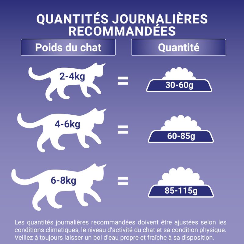 PURINA ONE Adulte bœuf, céréales complètes