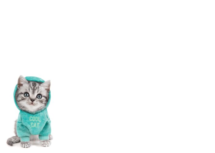 Studio Pets | Verjaardagskaart | Katje | Hart