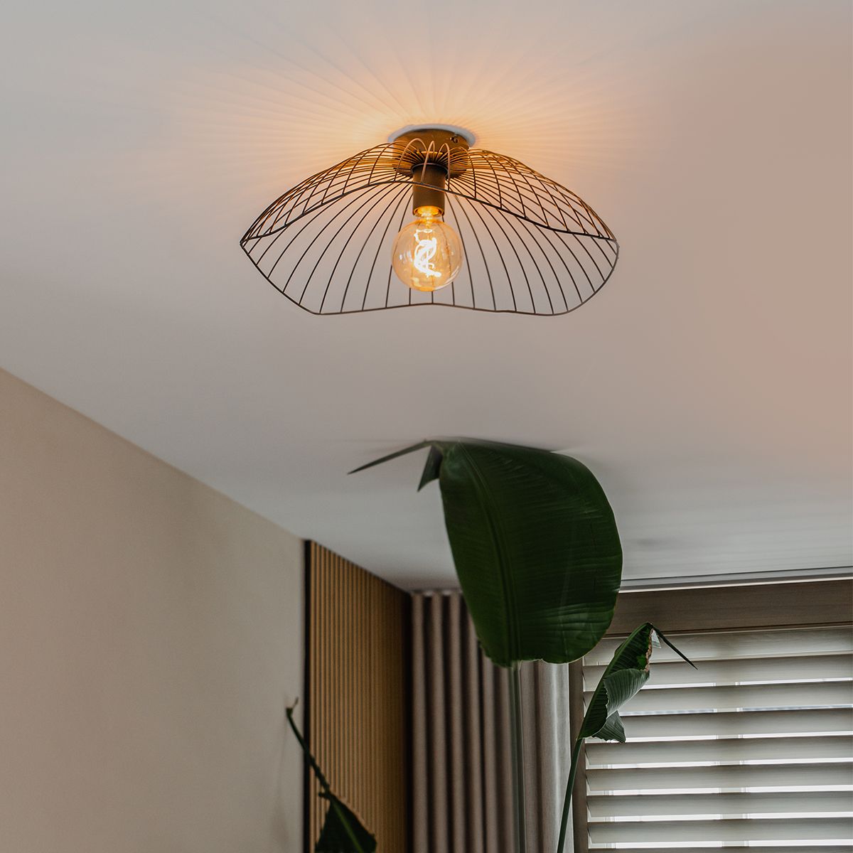 Design plafondlamp zwart 50 cm - Pua