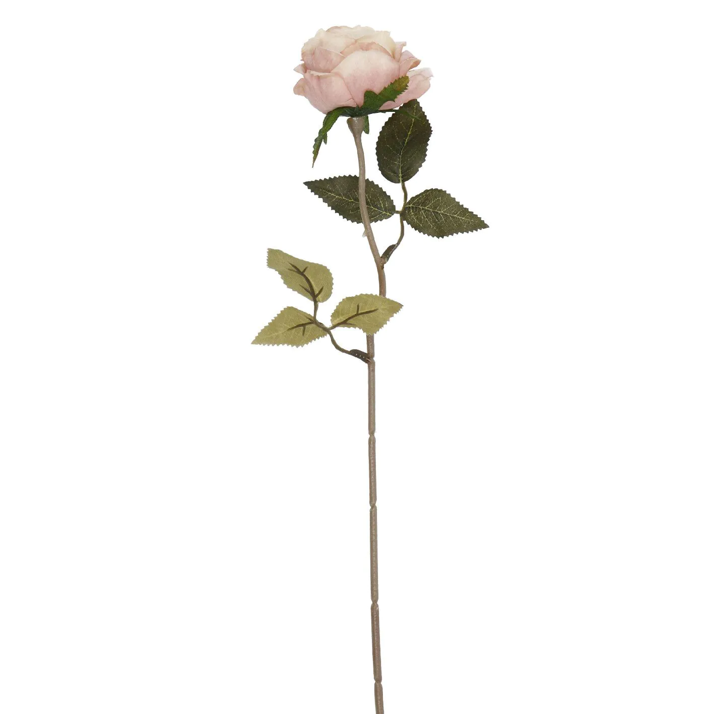 Rose Leonore, altrosa, 38 cm