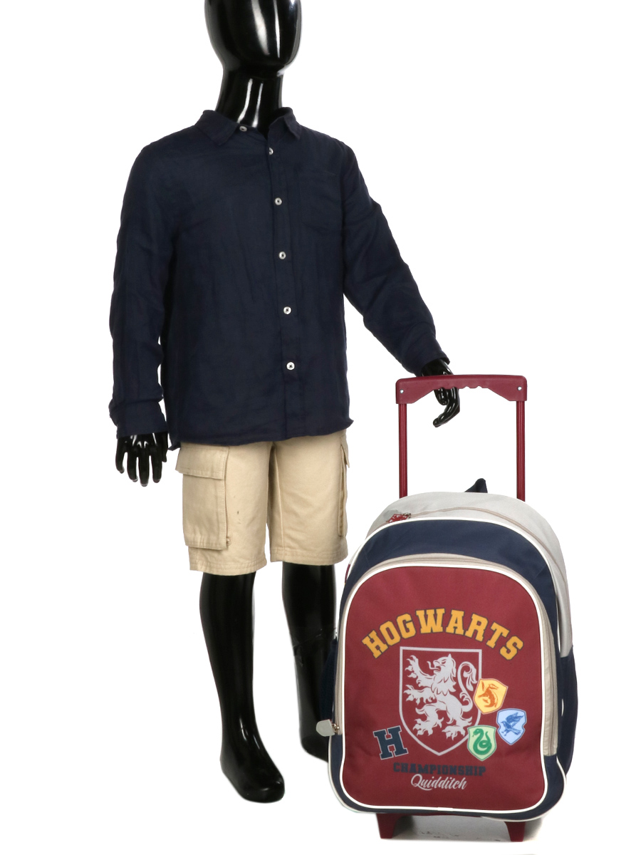 Valise Harry Potter Championship 41 cm