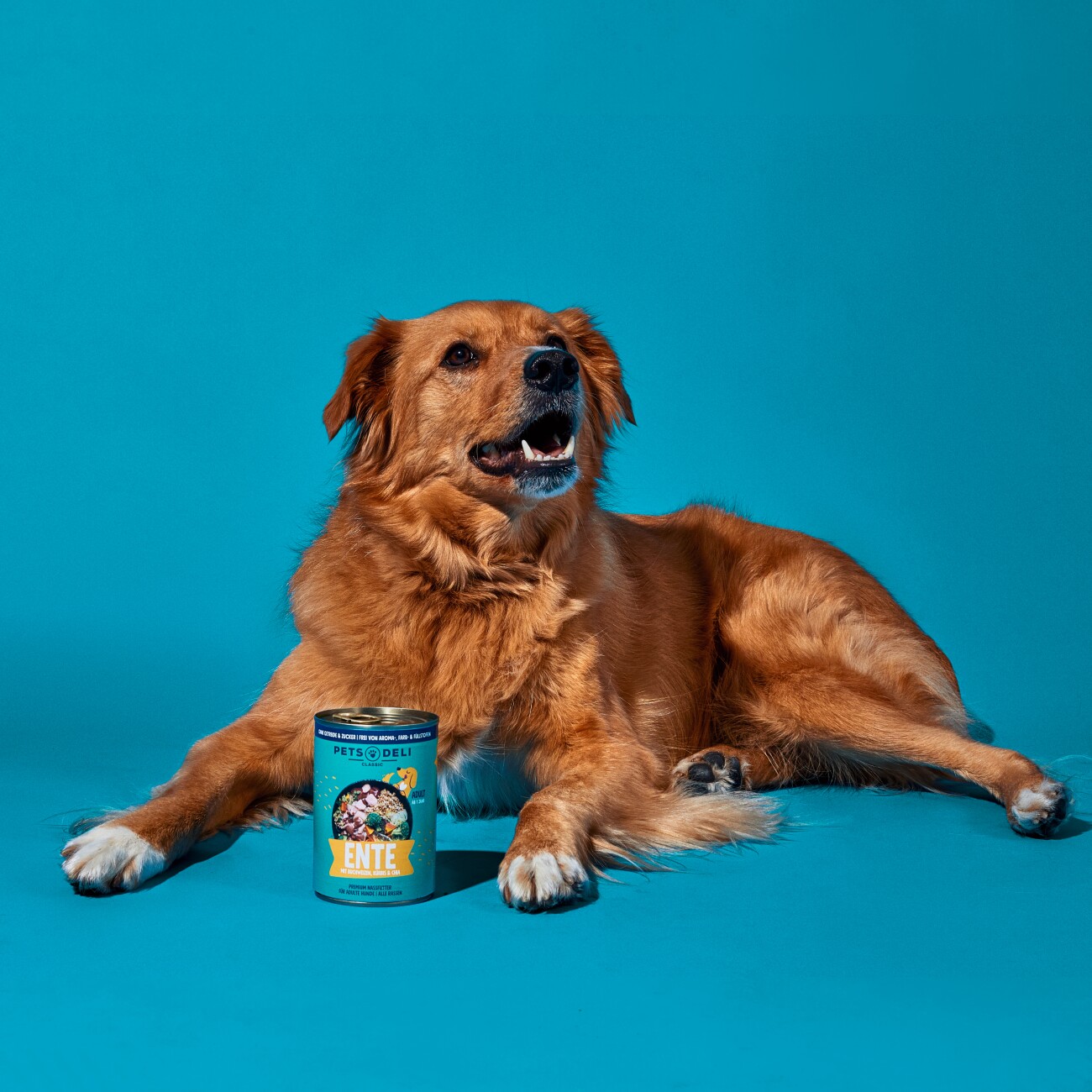 Pets Deli Nassfutter Hund Adult, Ente mit Buchweizen 6x400 g