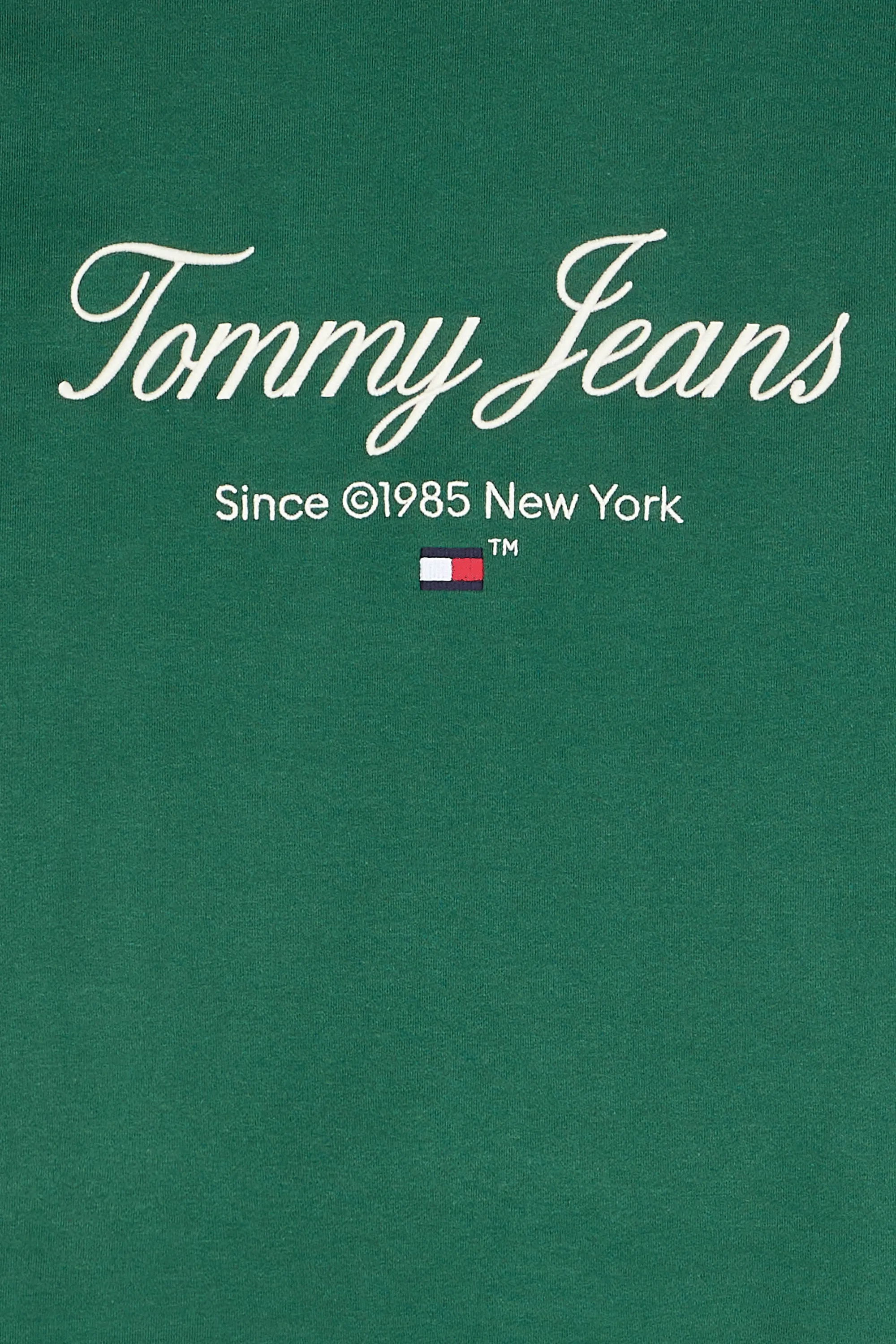 TOMMY JEANS Hoodie zippé TJM RLX LUXE  Vert