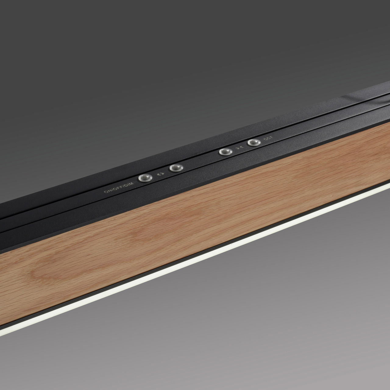 Paul Neuhaus LEDPendelleuchte PURE-MOTO-RISE
