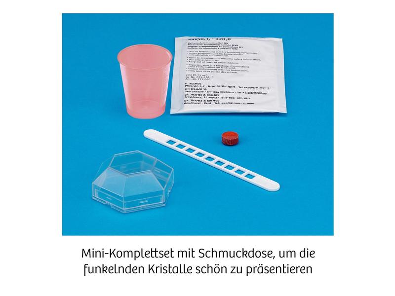 Kosmos Experimentierkasten Rote Kristalle selbst züchten Spannende Experimente erleben
