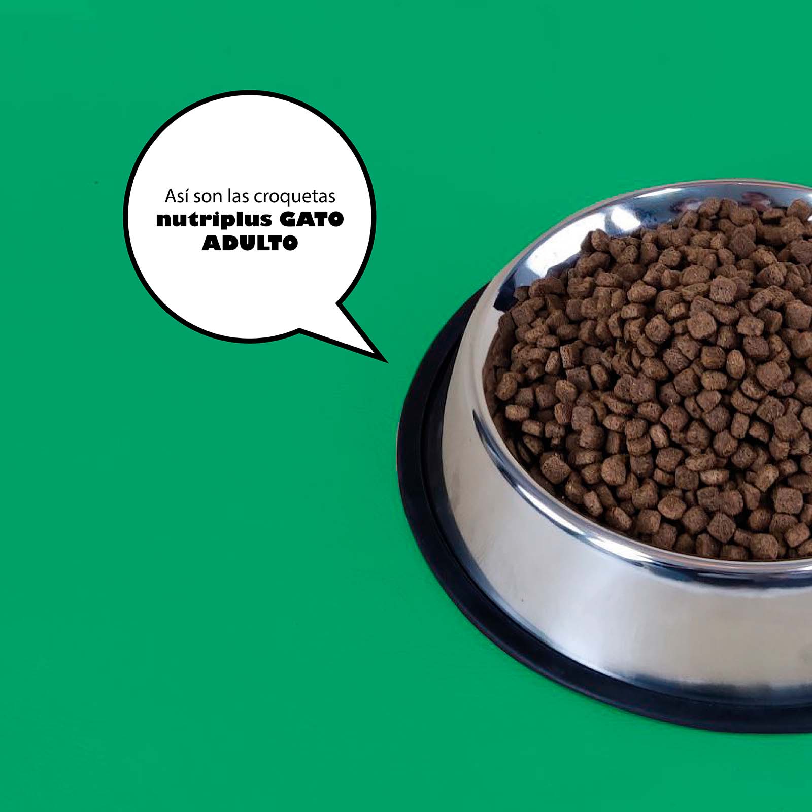 Ração para gatos adultos, sabor frango