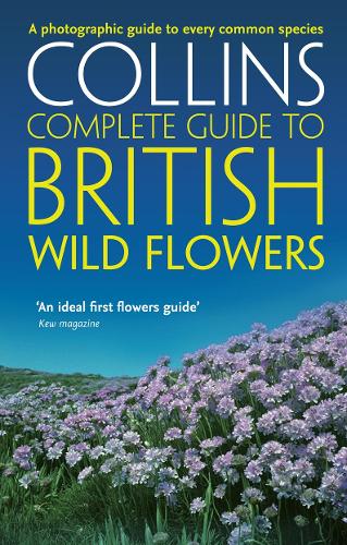 British Wild Flowers: A Photographic Guide to Every Common Species - Collins Complete Guide (Paperback)