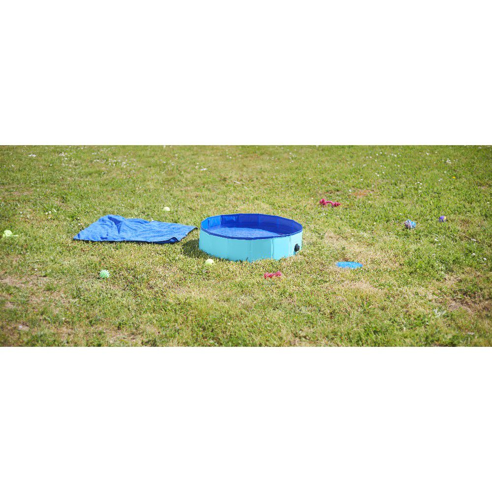 Piscine ronde pour chien