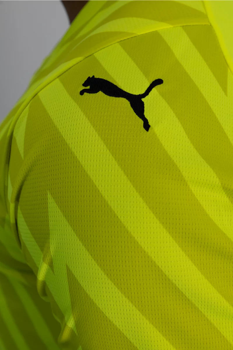 Puma Schweiz Replica Herren Torwarttrikot EM 2024 gelb