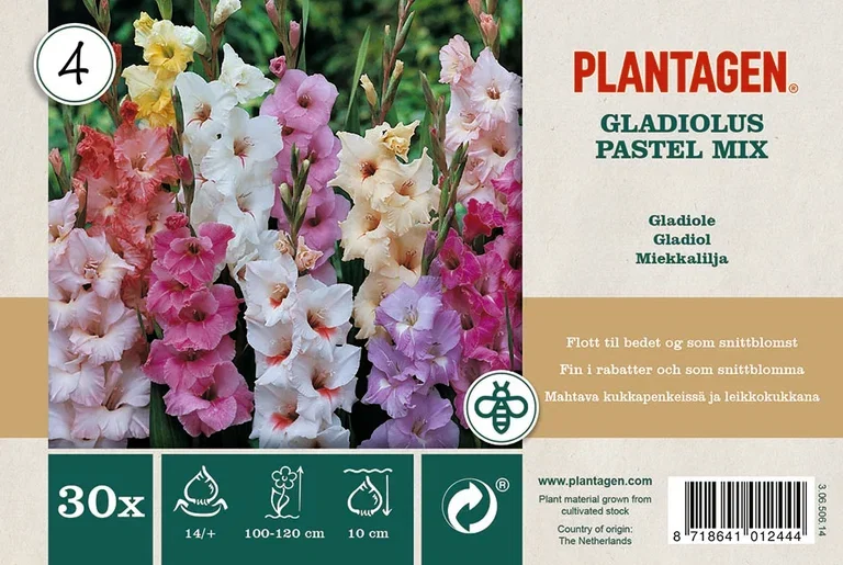 Plantagen Gladiol pastel Miks 30 pk