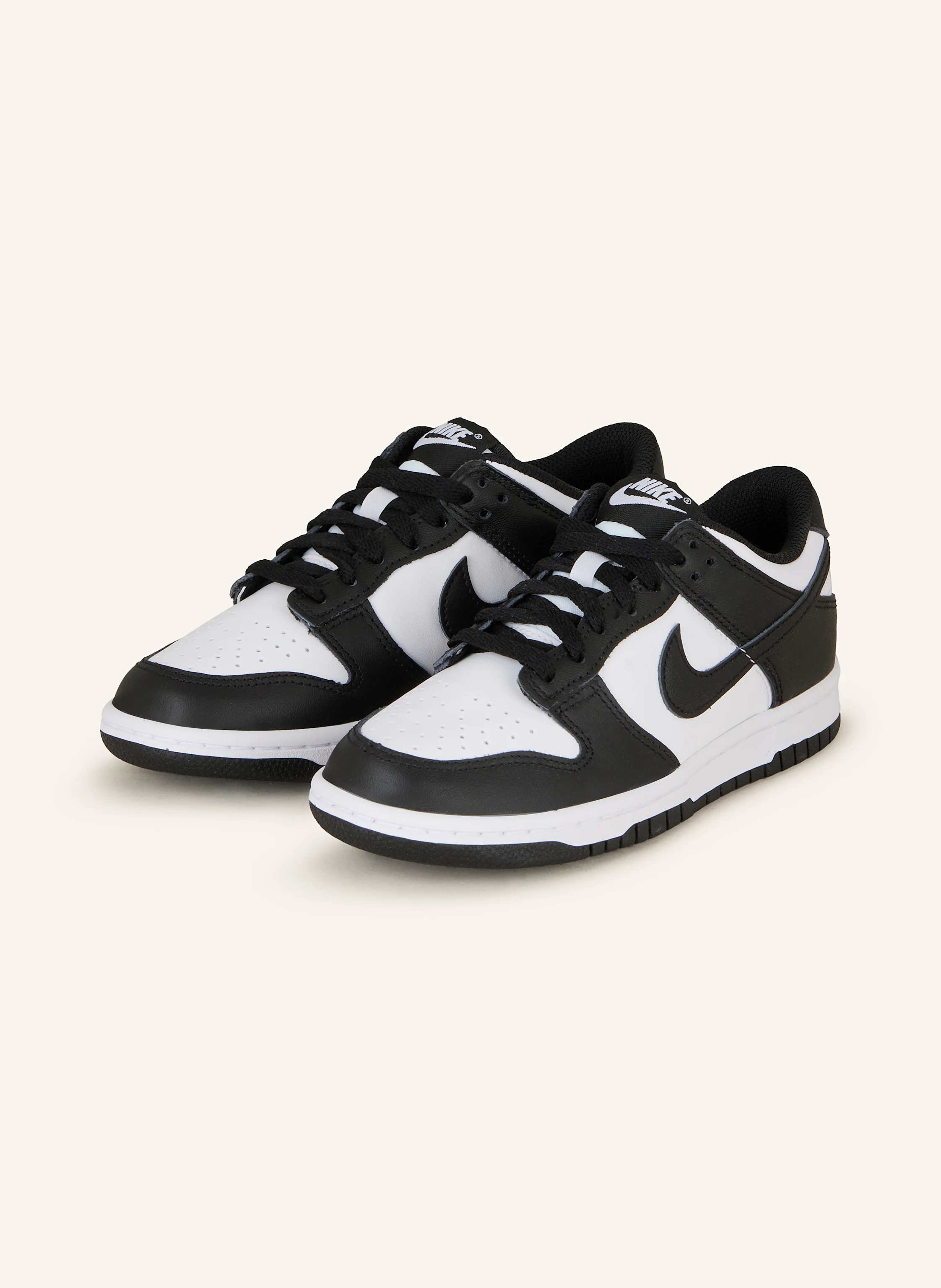 Nike Sneaker DUNK