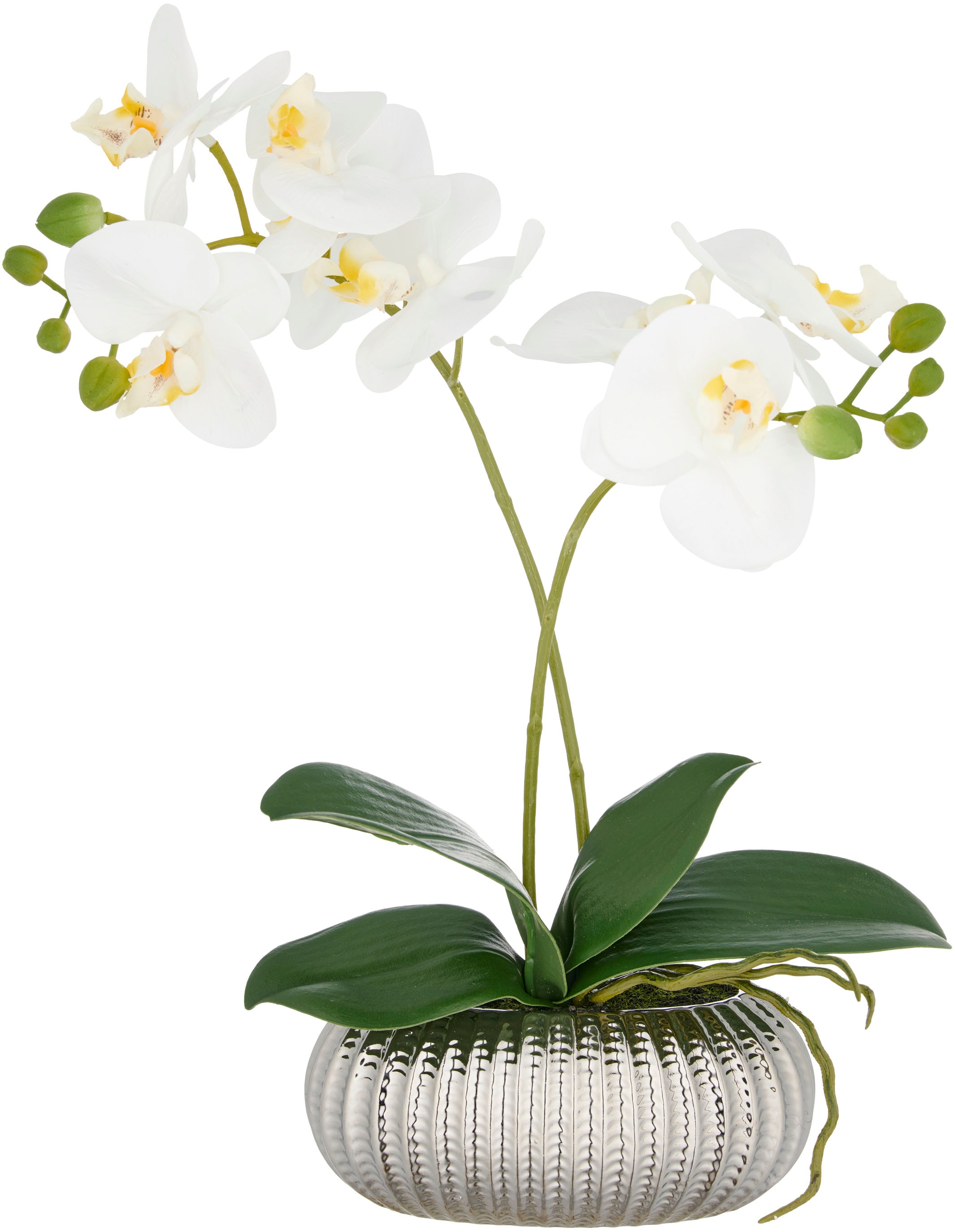 Creativ green Kunstorchidee »Orchidee Phalaenopsis« mit real-touch-Blüten