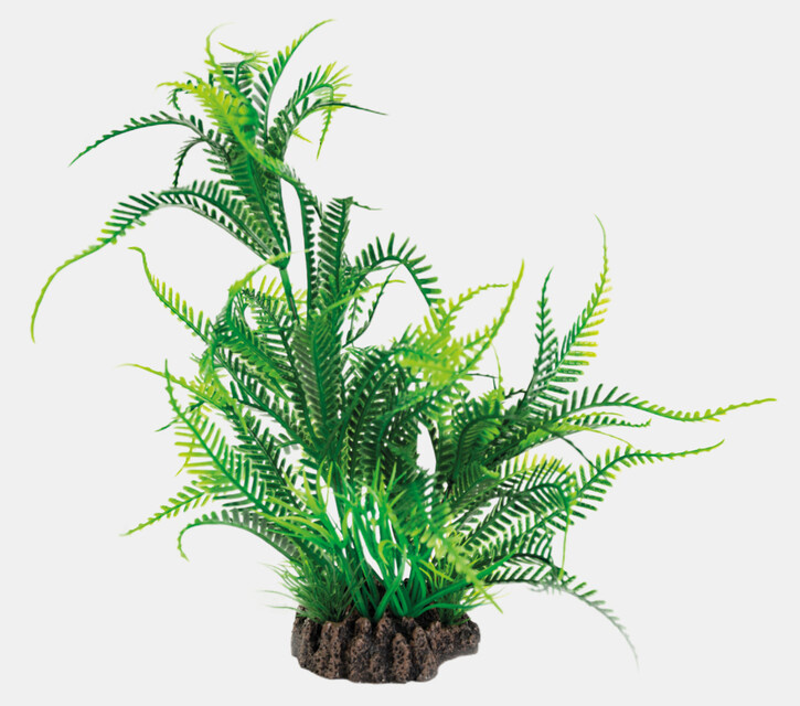 Superfish Art Plant 25cm Microsorum | Aquarium planten