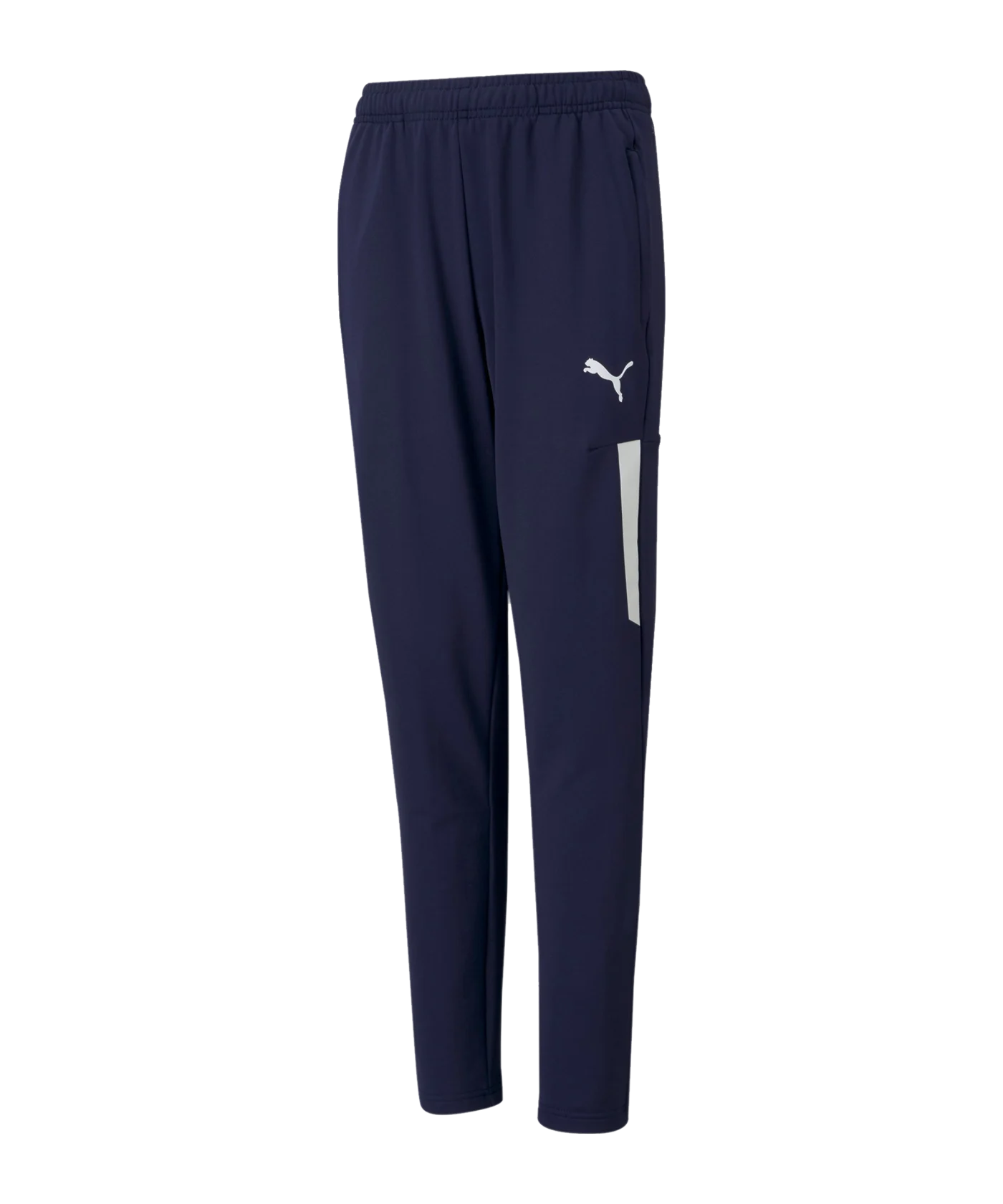 PUMA teamLIGA Pro Trainingshose Kids Blau F06