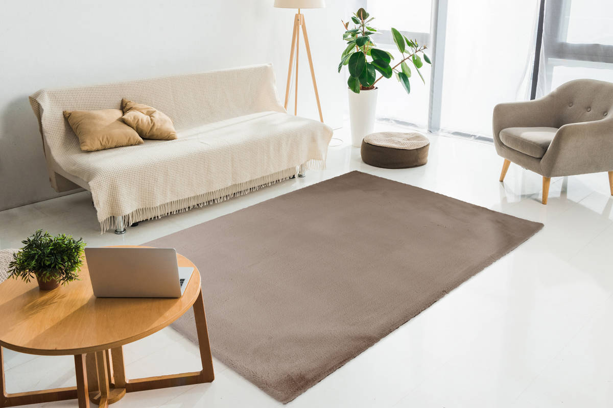 Teppich RABBIT LIGHT 500 - taupe - 80x150 cm