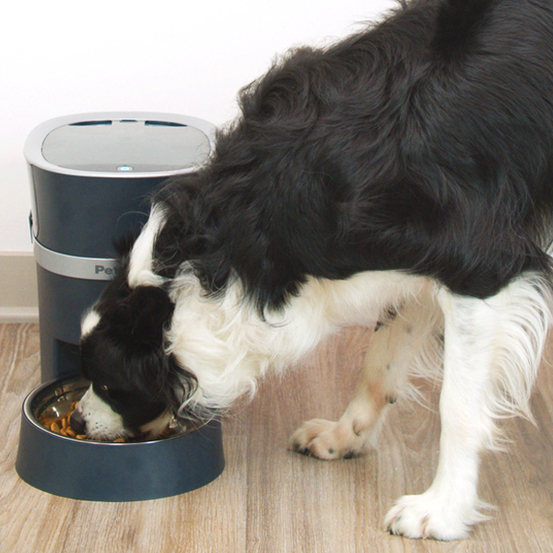Distributeur de croquettes connecté Smart Feed 12 repas