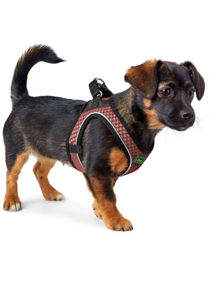 Hunter - Hundesele Hilo Comfort 31-33/XXS, rosa