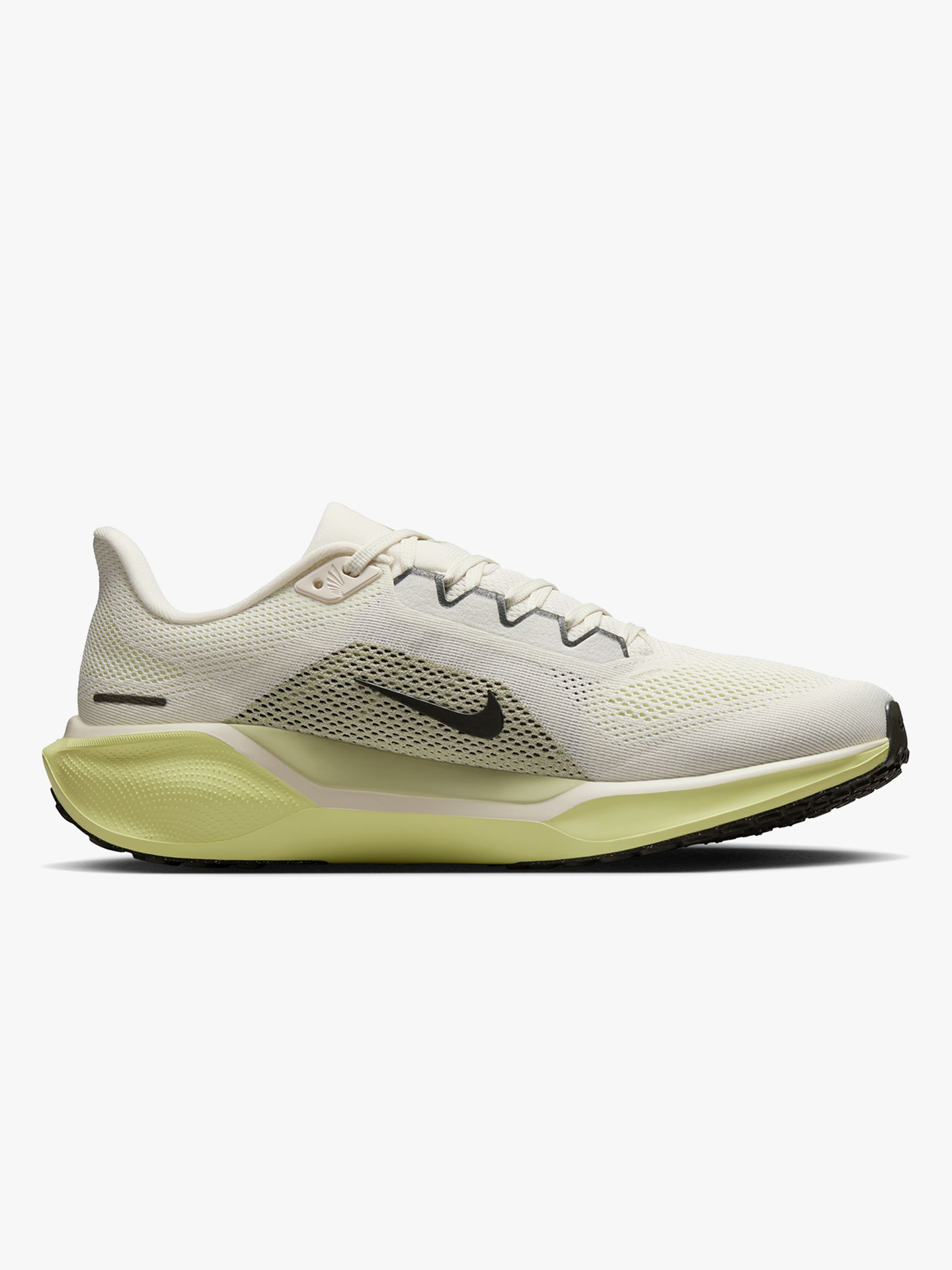 Pegasus 41
