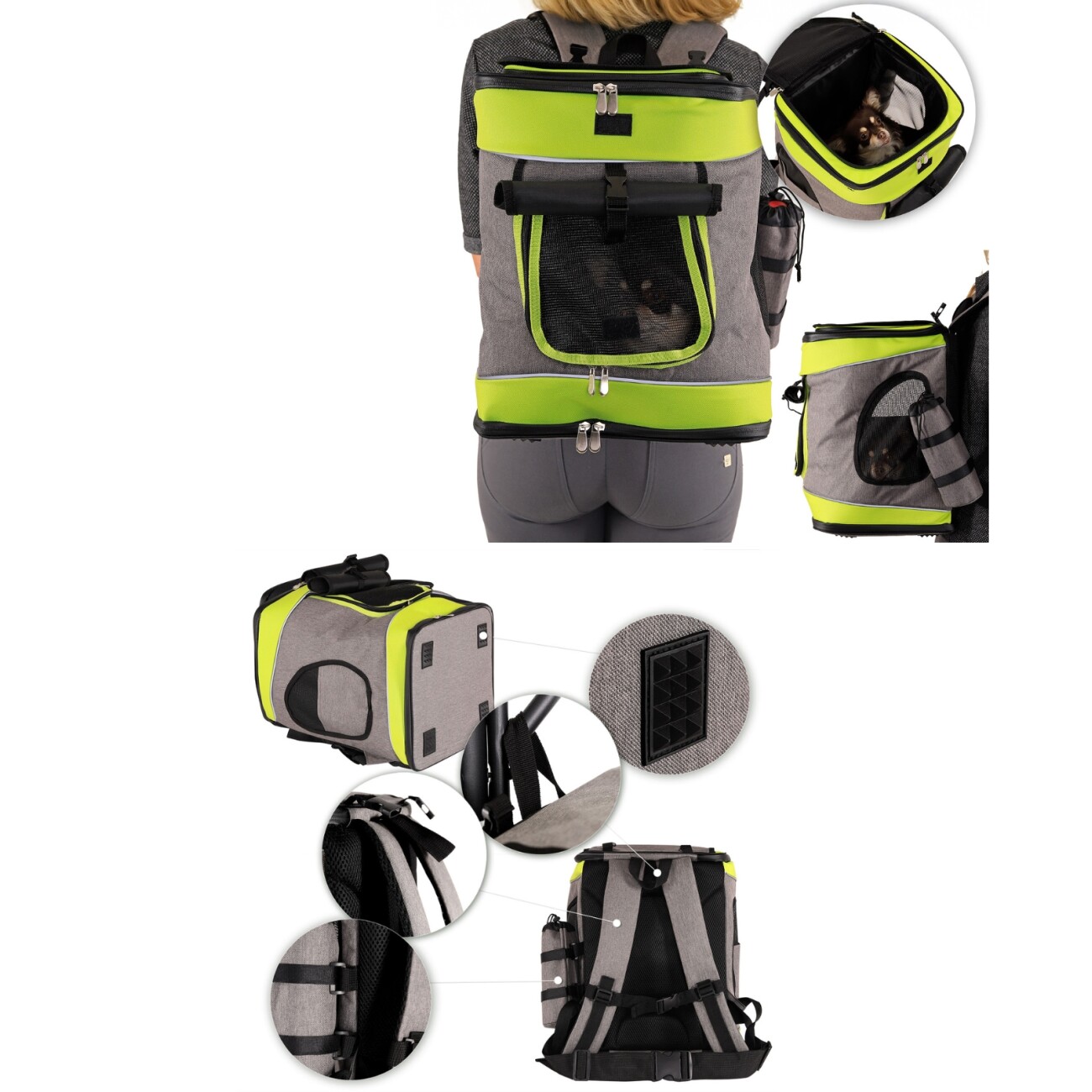 Lionto Haustier-Rucksack grau/ grün