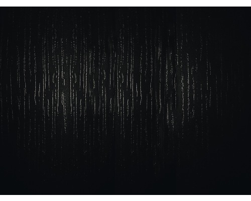 Meubelpaneel essenzwart 19x200x2630 mm