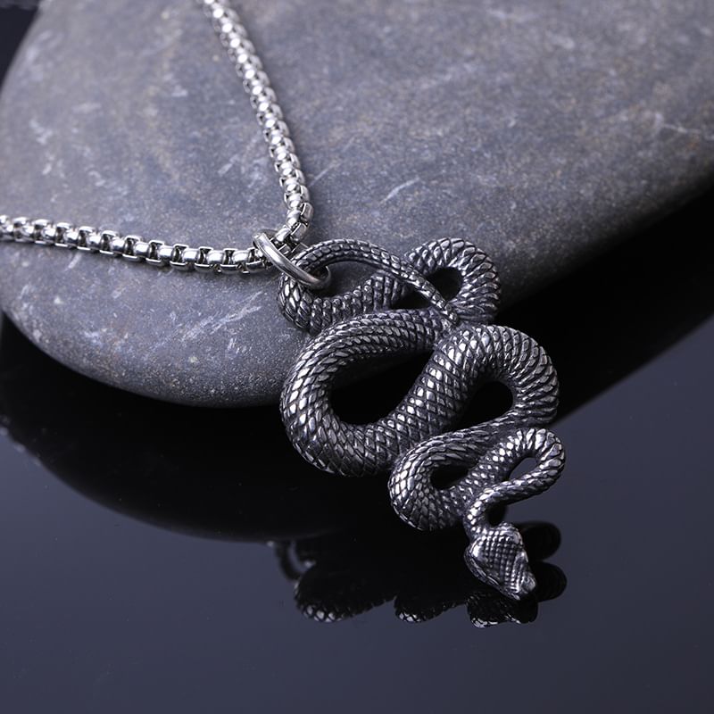 Prushia - Slangenhanger / ketting van roestvrij staal (verschillende ontwerpen)