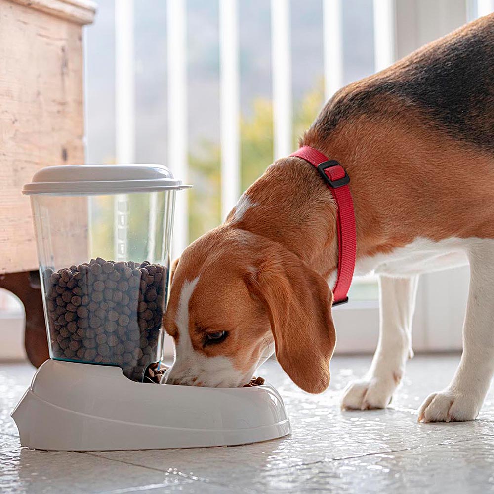 Ferplast distributeur de nourriture sèche, croquettes pour chats et chiens 3 litres zenith mangeoire pratique, distributeur de