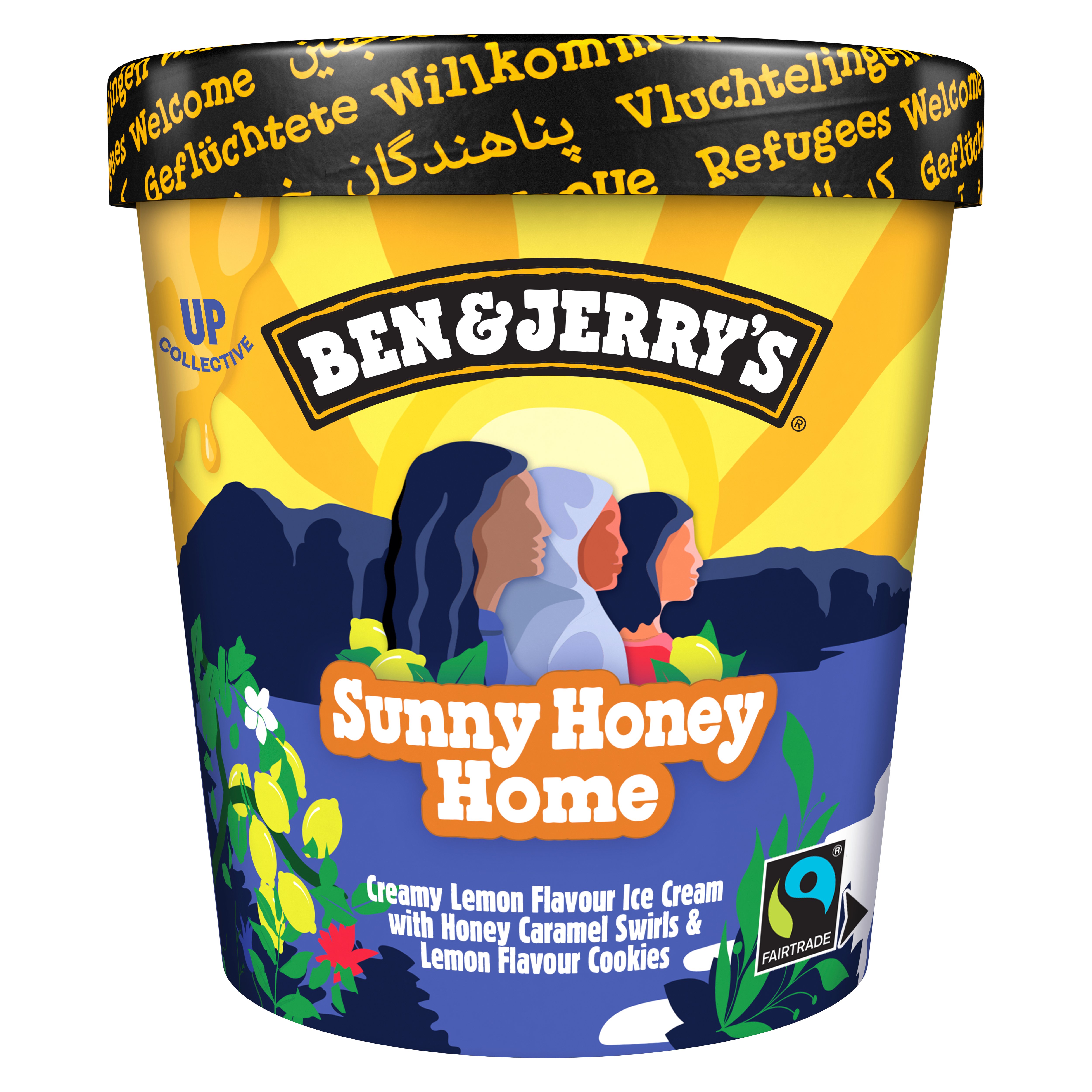 Ben & Jerry's Sunny Honey Home