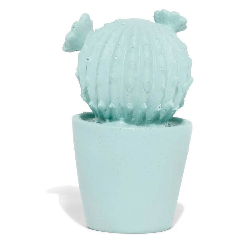 Décoration pot cactus