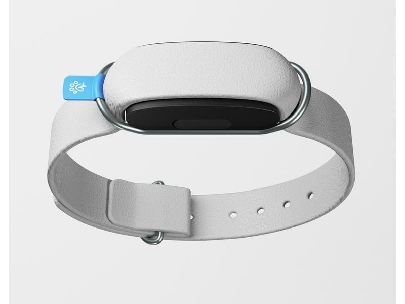 Invoxia GPS- und Gesundheitstracker Dog MiniTailz, schwarz Der fortschrittlichste GPS- und Gesundheitstracker für Hunde