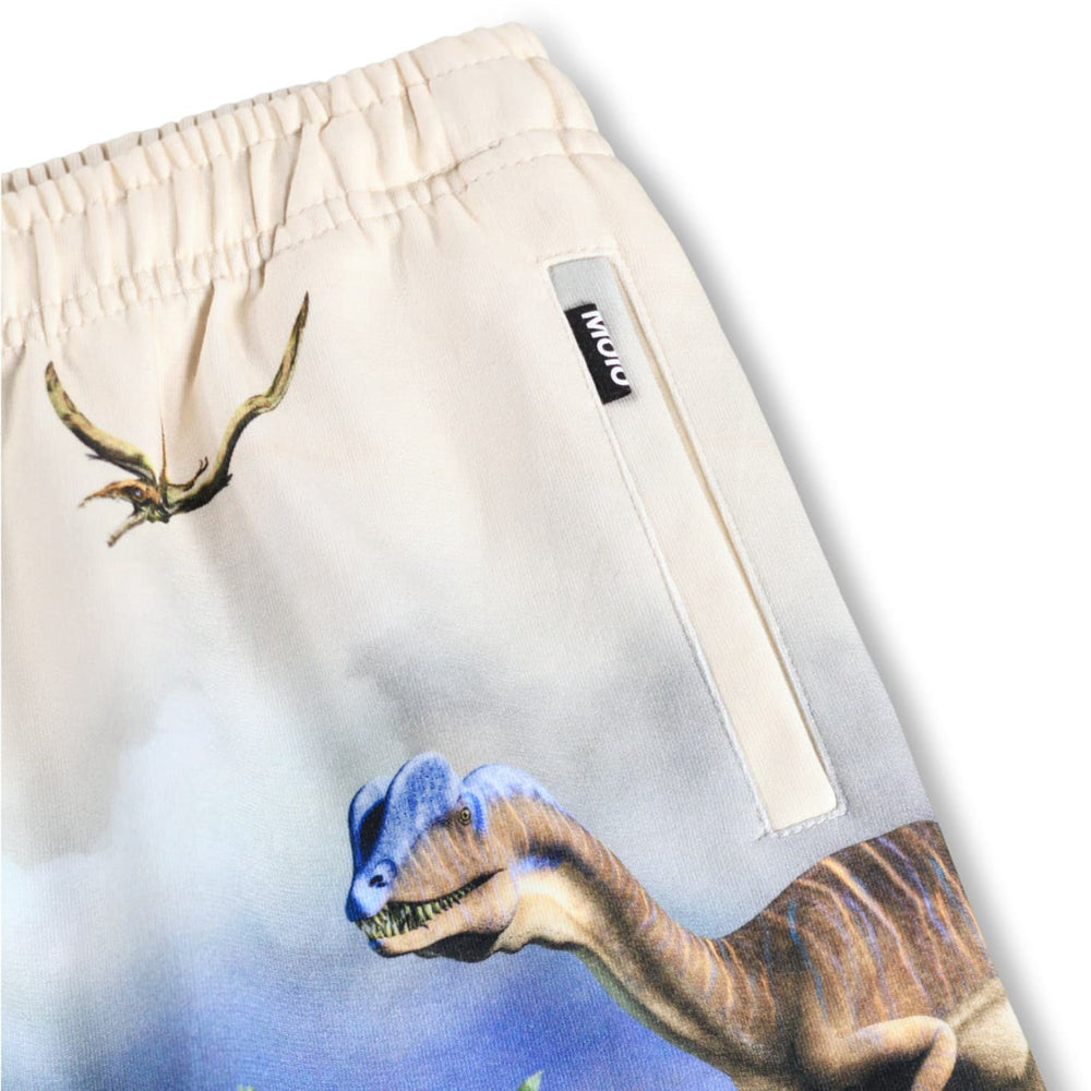 Køb Molo Hot Spring Dinos Amil Shorts