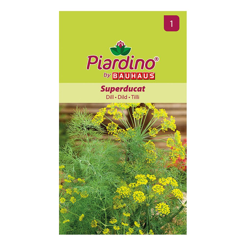 KRYDDERURTER PIARDINO DILL SUPERDUCAT