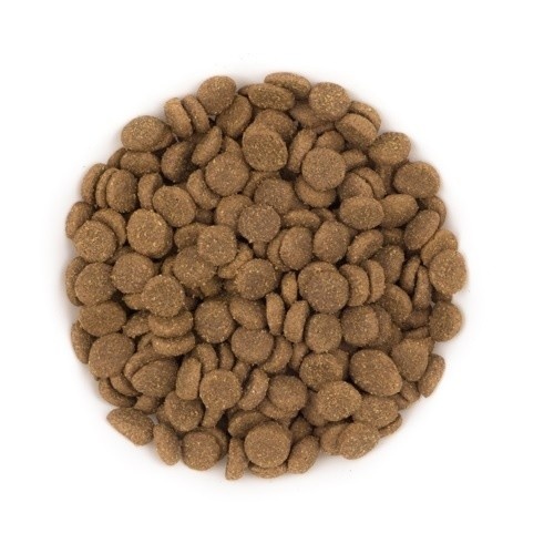 Ração para filhotes Pure Adventure sabor frango e arroz