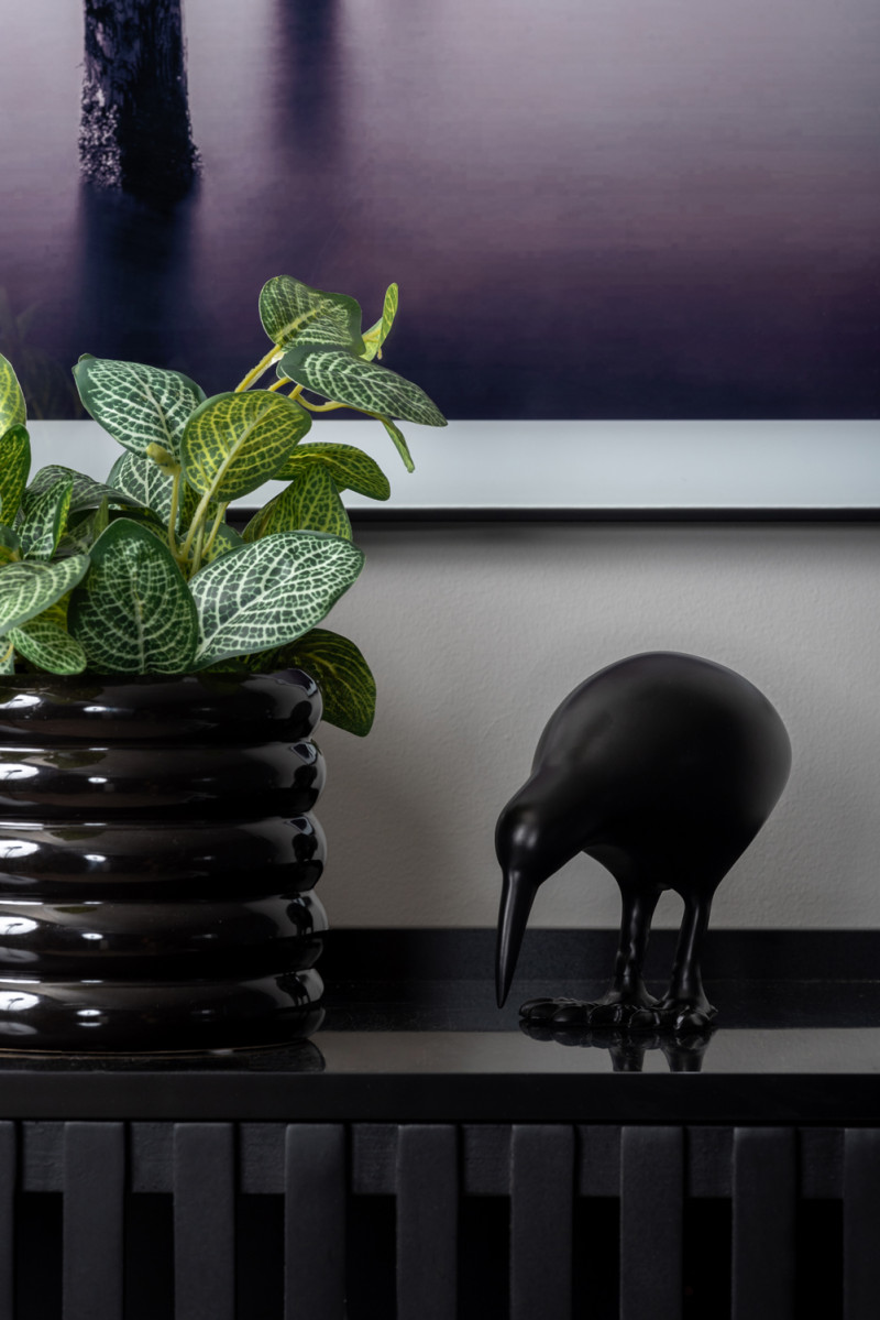 Statue Kiwi Bird PT4019BK Black