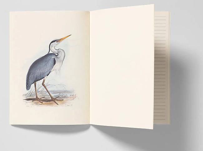 OISEAUX D EUROPE CARNET DE NOTES