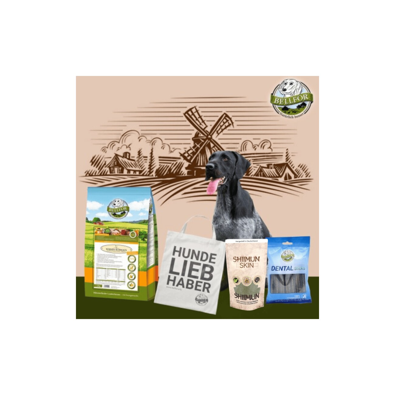 Bellfor Deutsch Drahthaar Futter Set