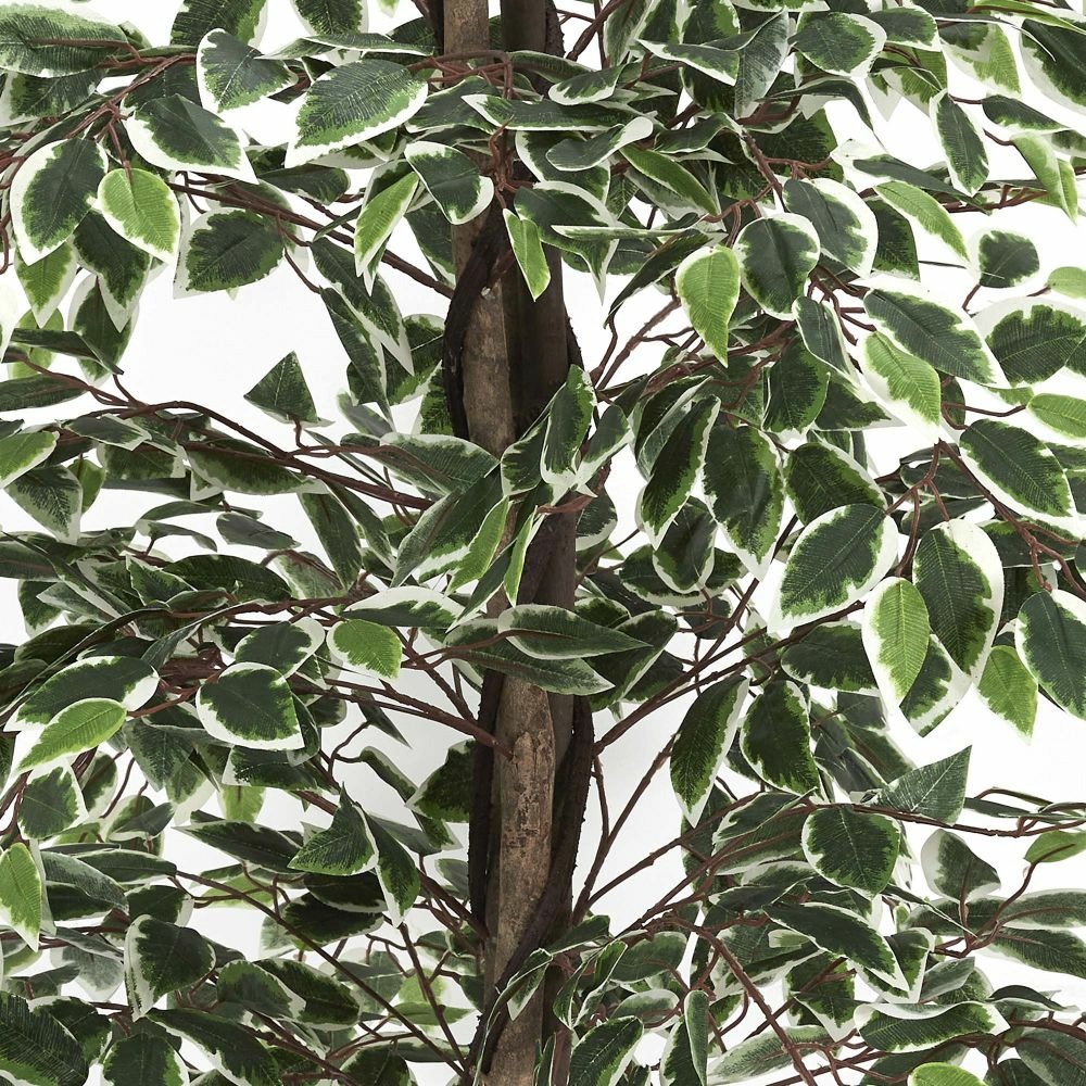 Plante artificielle feuillage panaché 160 cm