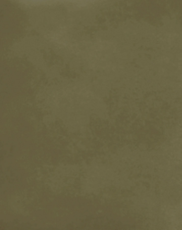 Cargo-Shorts TREASURE HUNTER in khaki