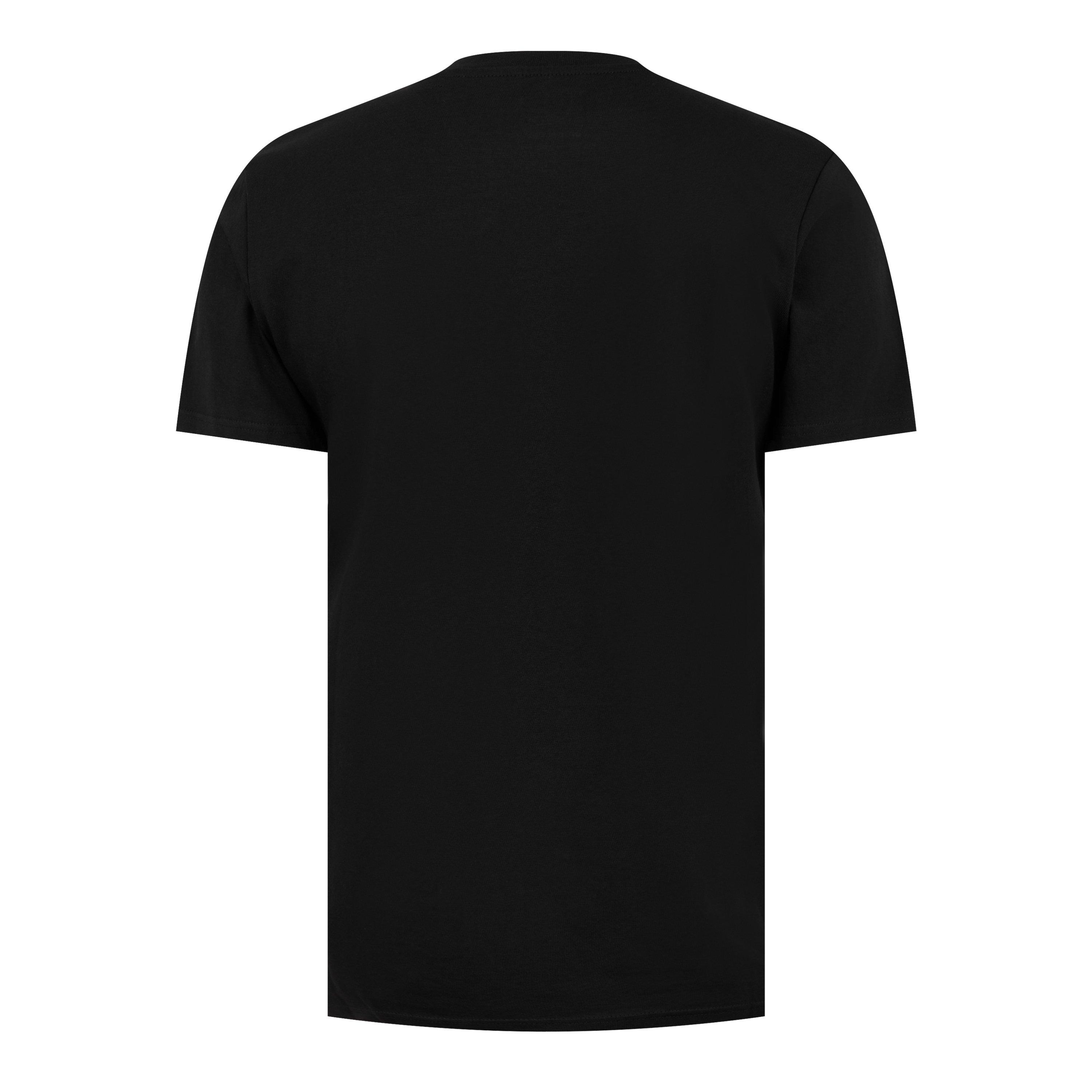 Castore Charlton Athletic Graphic T Shirt Adults