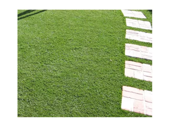 Tapis de gazon artificiel en gazon synthétique, 35 MM, 2x5 MT, 80812